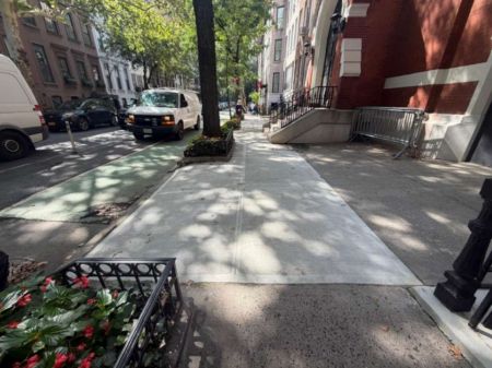 Why Do Tree Roots Cause Sidewalk Damage and What Can Be Done About It?
