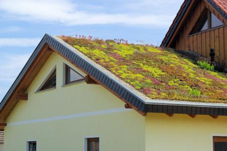 Green Roofing